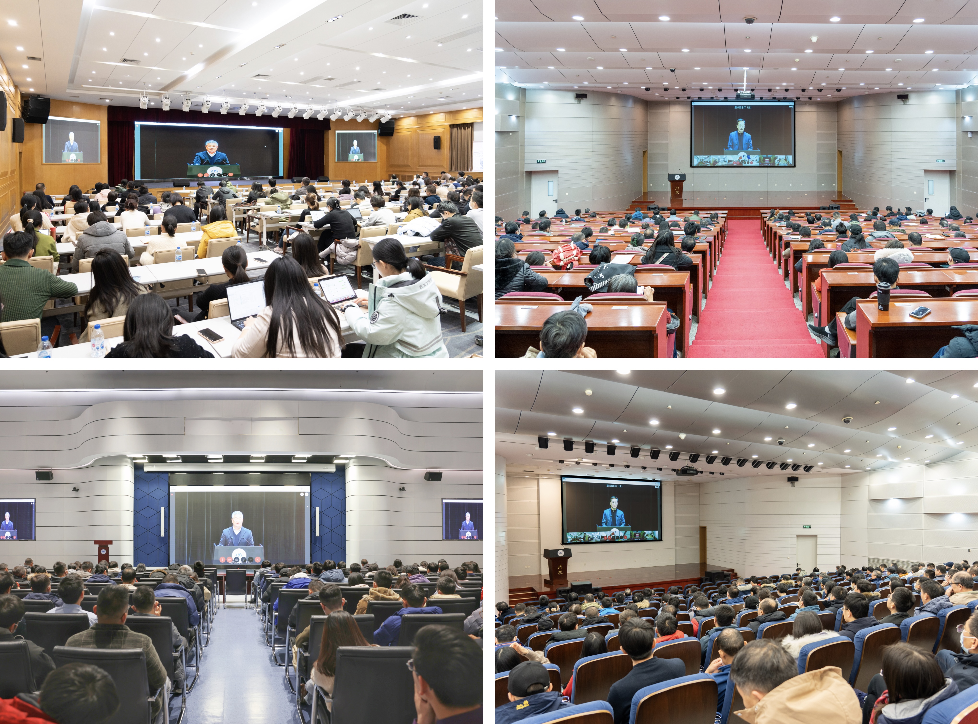 beats365亚洲体育投注